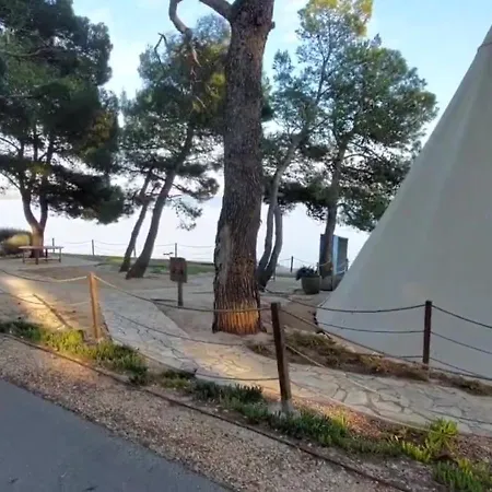 Segel * 波梅尔